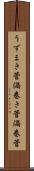 うずまき管 Scroll