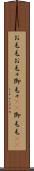お毛毛 Scroll
