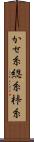 かせ糸 Scroll