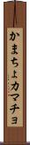 かまちょ Scroll