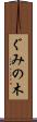 ぐみの木 Scroll