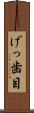 げっ歯目 Scroll