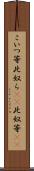 こいつ等 Scroll
