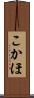 こかほ Scroll