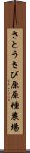 さとうきび原原種農場 Scroll