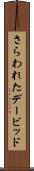 さらわれたデービッド Scroll