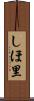 しほ里 Scroll
