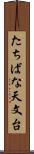 たちばな天文台 Scroll