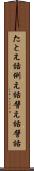 たとえ話 Scroll