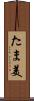 たま美 Scroll