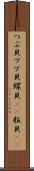 つぶ貝 Scroll