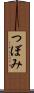 つぼみ Scroll