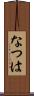 なつは Scroll