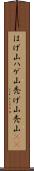 はげ山 Scroll