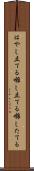 はやし立てる Scroll