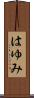 はゆみ Scroll