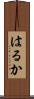 はるか Scroll