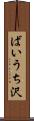 ばいうち沢 Scroll