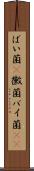 ばい菌(P) Scroll