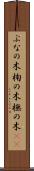 ぶなの木 Scroll