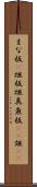 まな板(P) Scroll