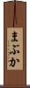 まぶか Scroll