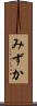 みずか Scroll