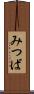 みつば Scroll