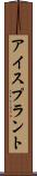 アイスプラント Scroll