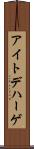アイトデハーゲ Scroll