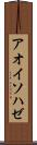 アオイソハゼ Scroll