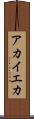 アカイエカ Scroll