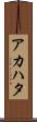 アカハタ Scroll