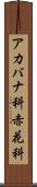 アカバナ科 Scroll