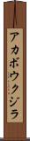 アカボウクジラ Scroll