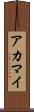 アカマイ Scroll