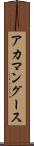 アカマングース Scroll