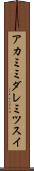 アカミミダレミツスイ Scroll
