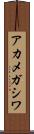 アカメガシワ Scroll