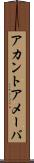 アカントアメーバ Scroll