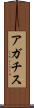 アガチス Scroll