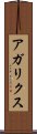 アガリクス Scroll