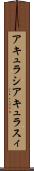 アキュラシ Scroll