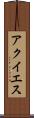 アクイエス Scroll
