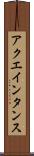 アクエインタンス Scroll