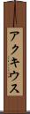 アクキウス Scroll