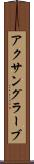 アクサングラーブ Scroll
