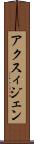 アクスィジェン Scroll