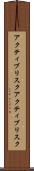 アクティブリスク Scroll
