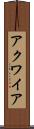 アクワイア Scroll